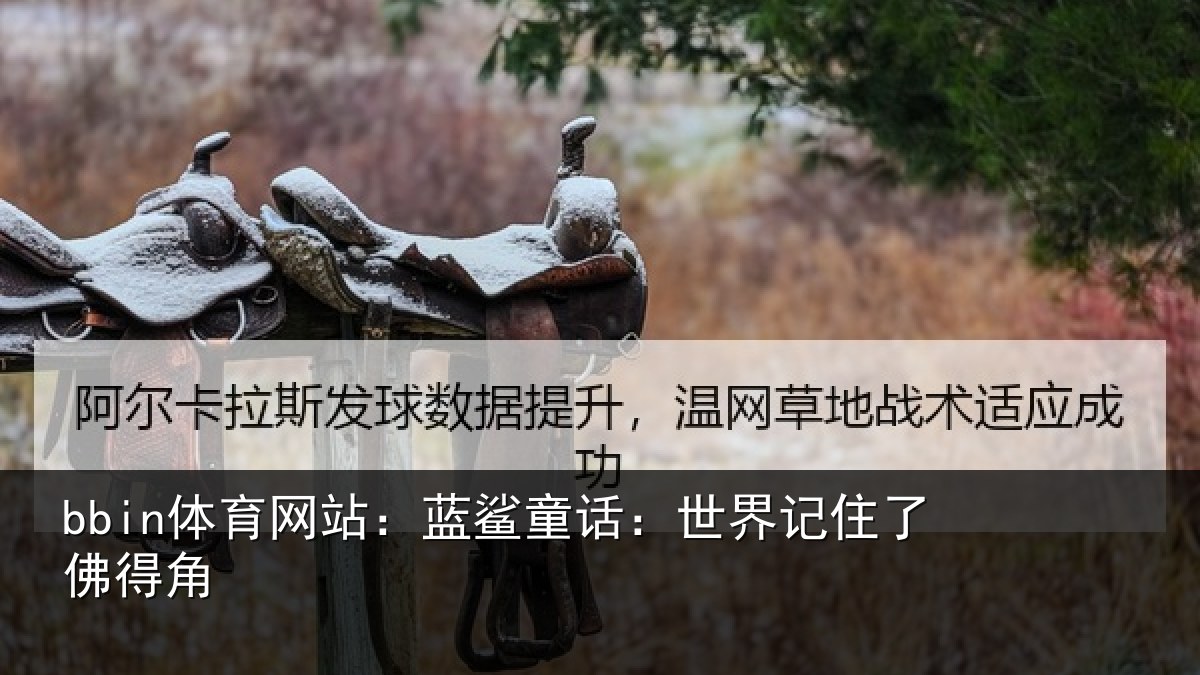 bbin体育网站：蓝鲨童话：世界记住了佛得角