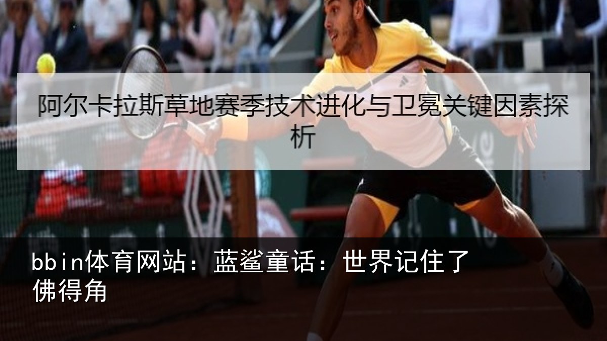 bbin体育网站：蓝鲨童话：世界记住了佛得角