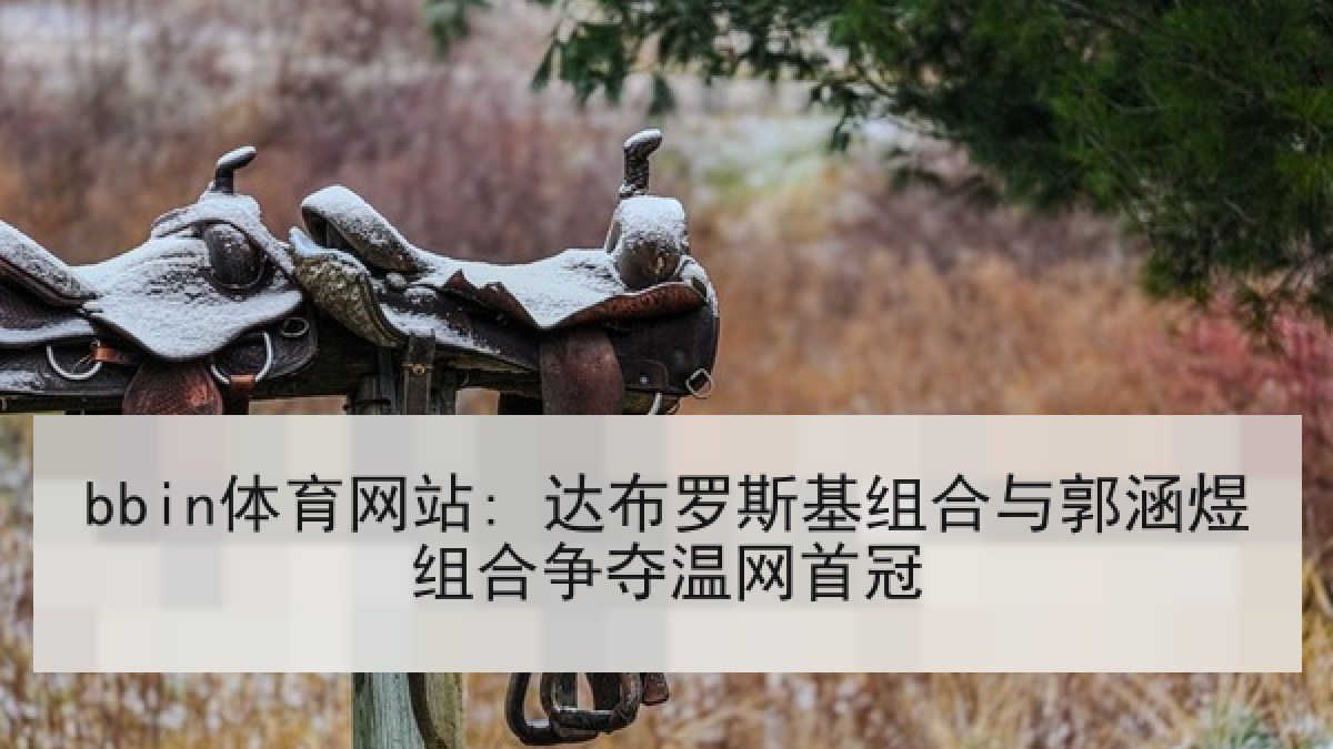 bbin体育网站: 达布罗斯基组合与郭涵煜组合争夺温网首冠